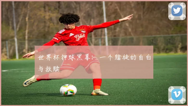 世界杯押球黑幕：一个赌徒的自白与救赎