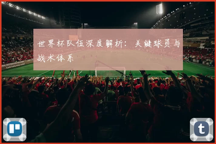 世界杯队伍深度解析：关键球员与战术体系