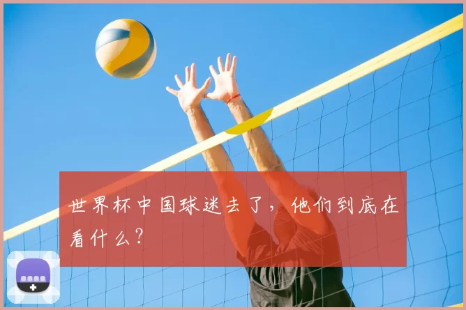 世界杯中国球迷去了,他们到底在看什么?