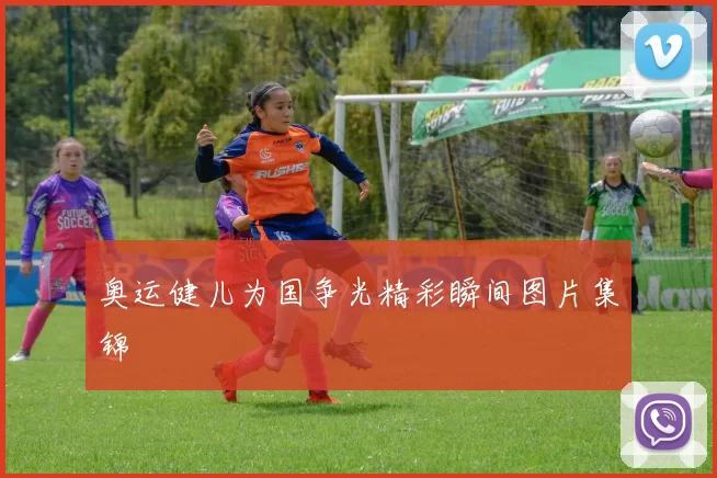 奥运健儿为国争光精彩瞬间图片集锦