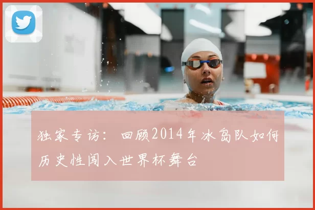 独家专访:回顾2014年冰岛队如何历史性闯入世界杯舞台