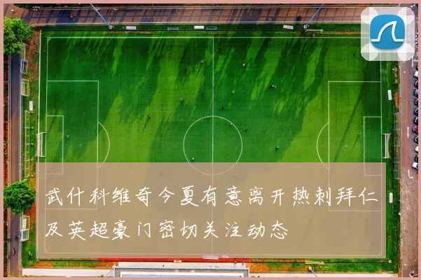 武什科维奇今夏有意离开热刺拜仁及英超豪门密切关注动态