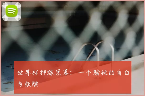 世界杯押球黑幕：一个赌徒的自白与救赎