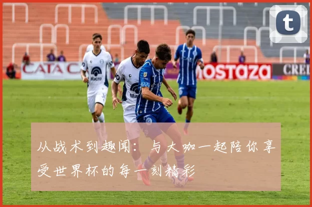 从战术到趣闻:与大咖一起陪你享受世界杯的每一刻精彩