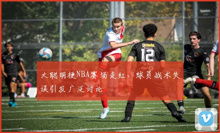 大聪明梗NBA赛场走红，球员战术失误引发广泛讨论