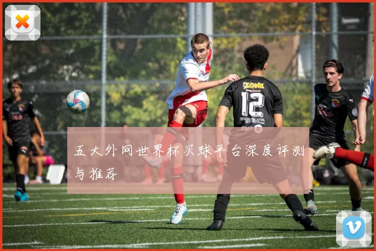 五大外网世界杯买球平台深度评测与推荐