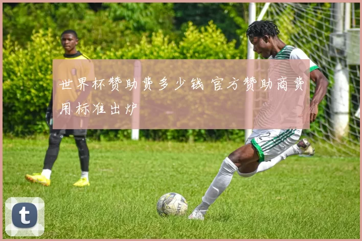 世界杯赞助费多少钱 官方赞助商费用标准出炉