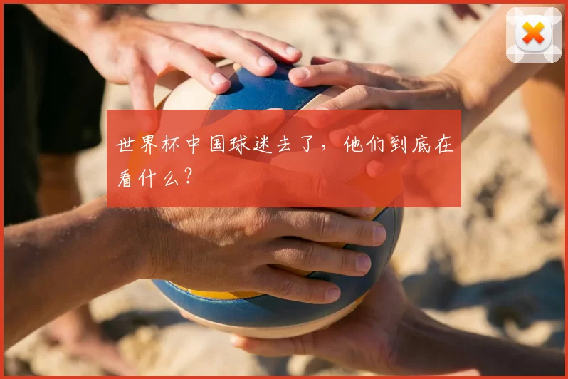 世界杯中国球迷去了，他们到底在看什么？